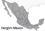 Hergom Internacional